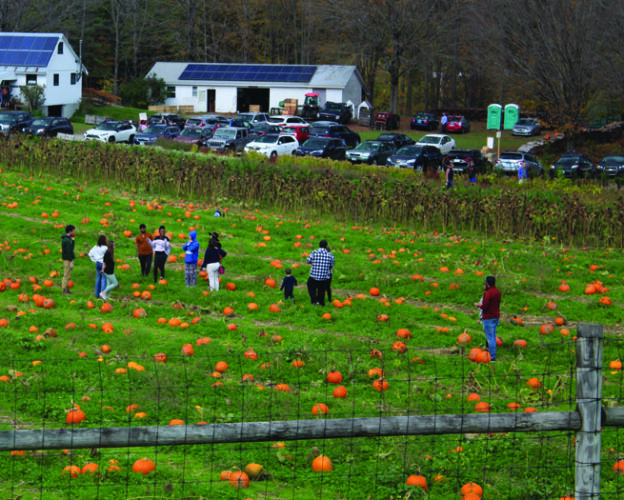 Seek Out Small Farms and Buy Direct from Farmers Grit